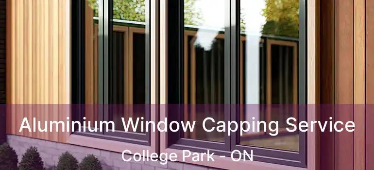  Aluminium Window Capping Service College Park - ON