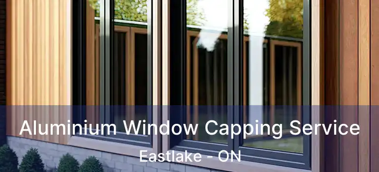  Aluminium Window Capping Service Eastlake - ON
