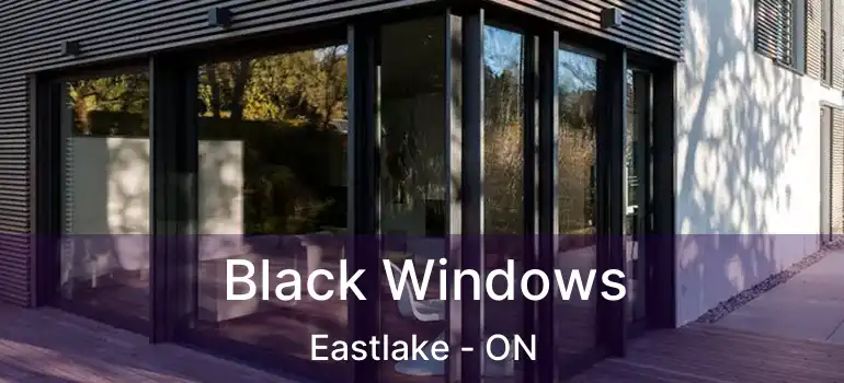  Black Windows Eastlake - ON