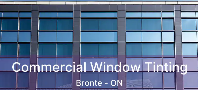  Commercial Window Tinting Bronte - ON