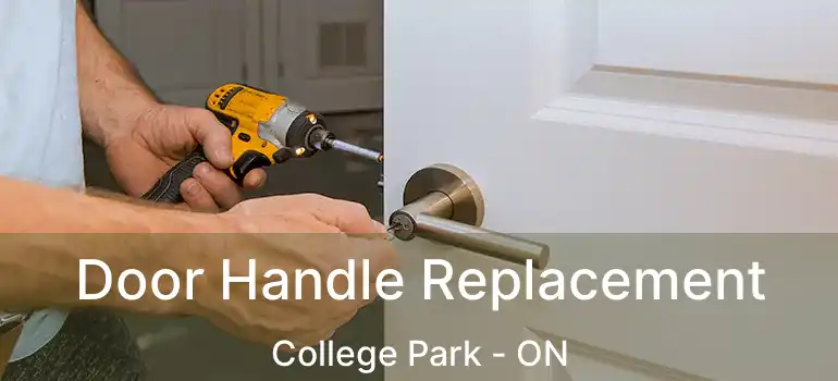  Door Handle Replacement College Park - ON