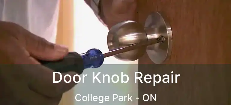  Door Knob Repair College Park - ON