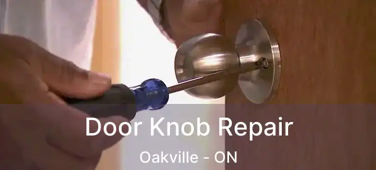  Door Knob Repair Oakville - ON