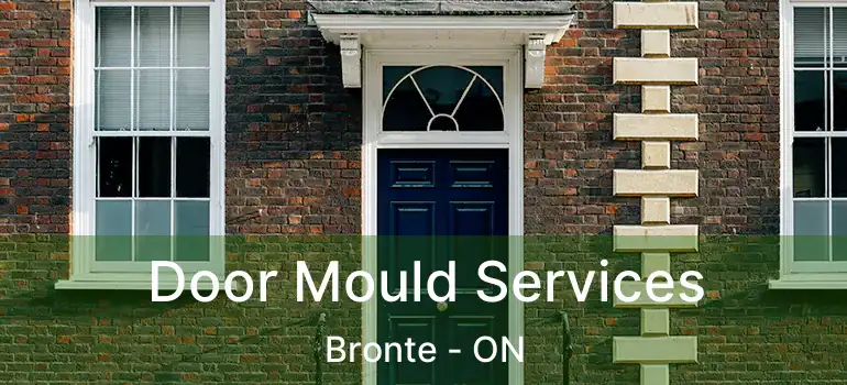  Door Mould Services Bronte - ON