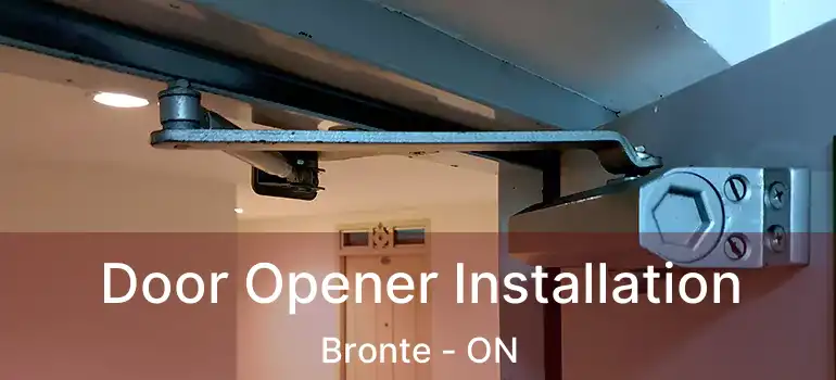  Door Opener Installation Bronte - ON
