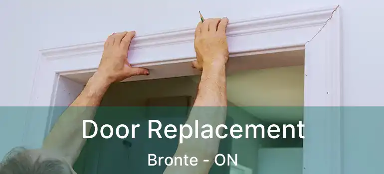  Door Replacement Bronte - ON