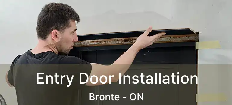  Entry Door Installation Bronte - ON