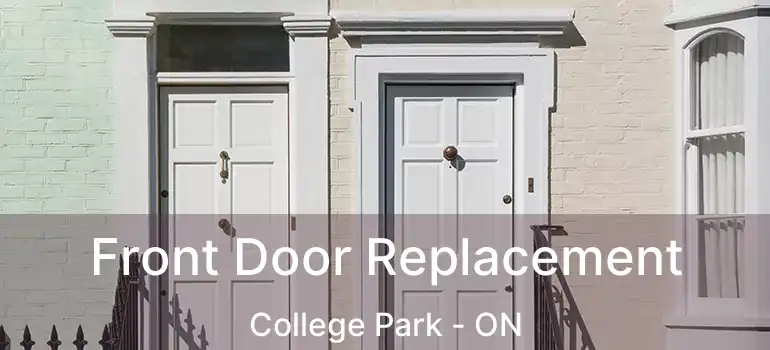  Front Door Replacement College Park - ON
