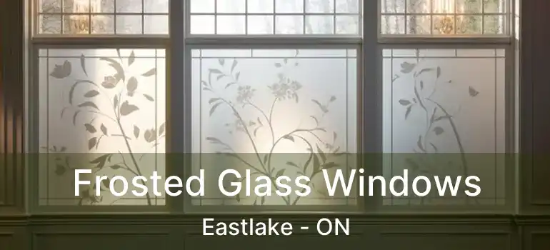  Frosted Glass Windows Eastlake - ON