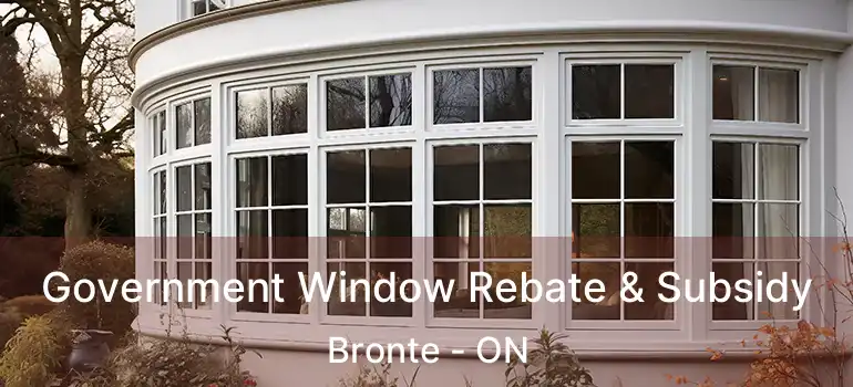  Government Window Rebate & Subsidy Bronte - ON
