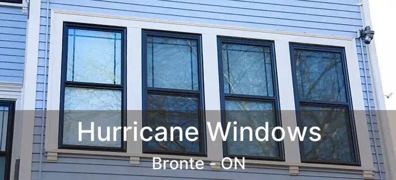  Hurricane Windows Bronte - ON