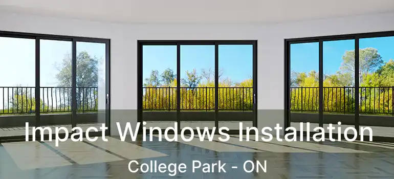  Impact Windows Installation College Park - ON