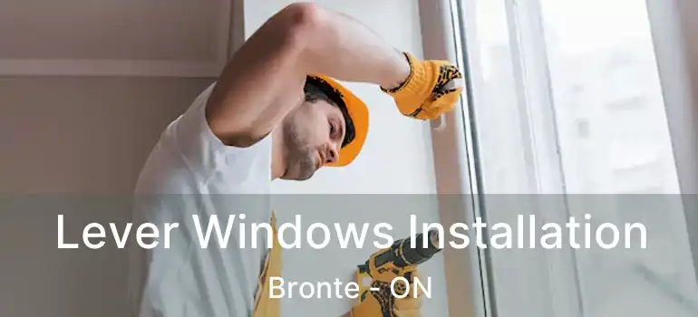  Lever Windows Installation Bronte - ON