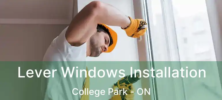  Lever Windows Installation College Park - ON
