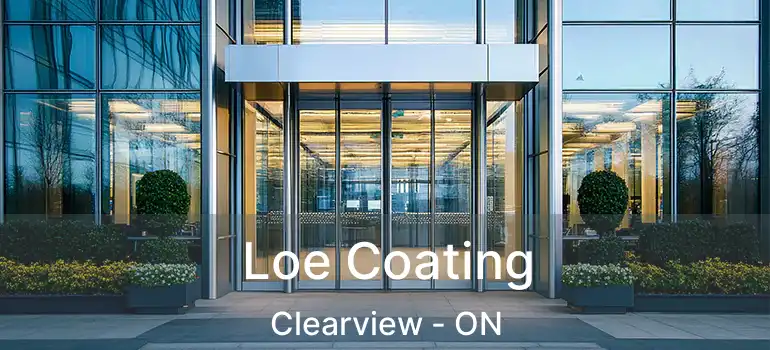  Loe Coating Clearview - ON
