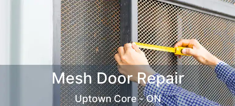  Mesh Door Repair Uptown Core - ON