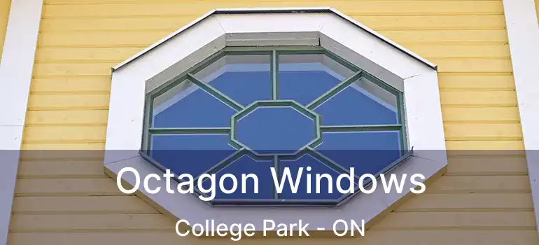  Octagon Windows College Park - ON