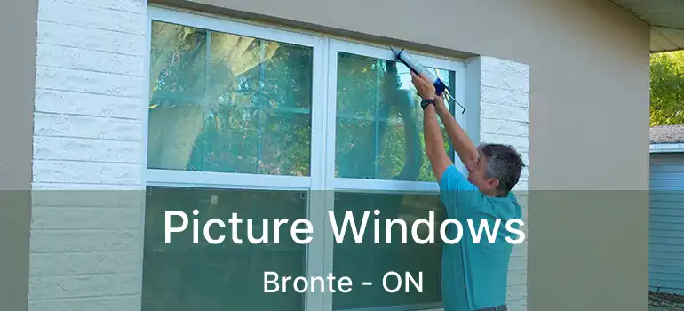  Picture Windows Bronte - ON