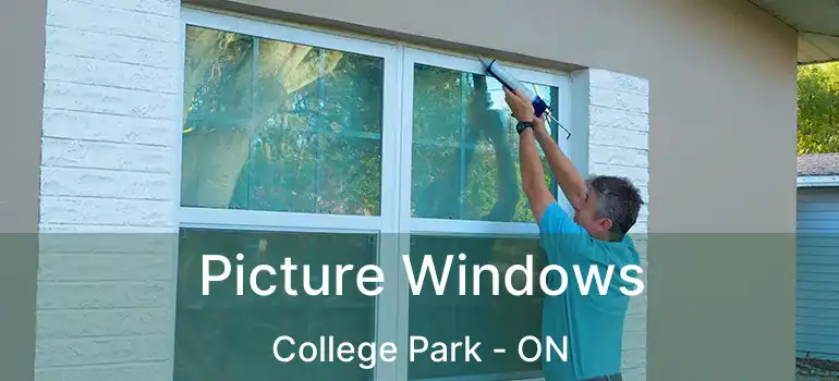  Picture Windows College Park - ON