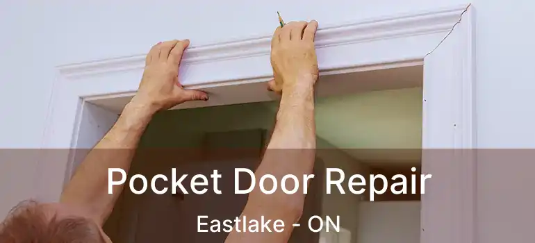  Pocket Door Repair Eastlake - ON