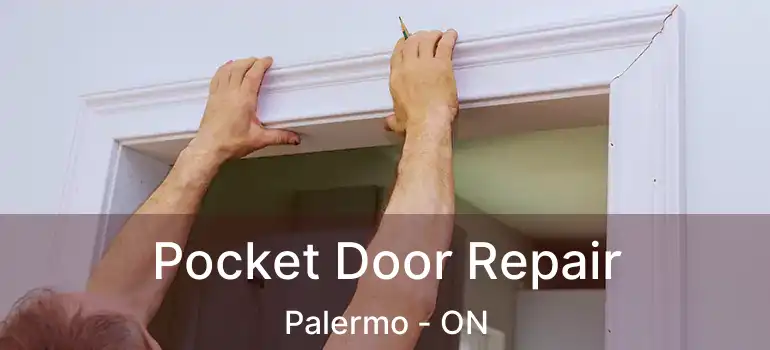  Pocket Door Repair Palermo - ON