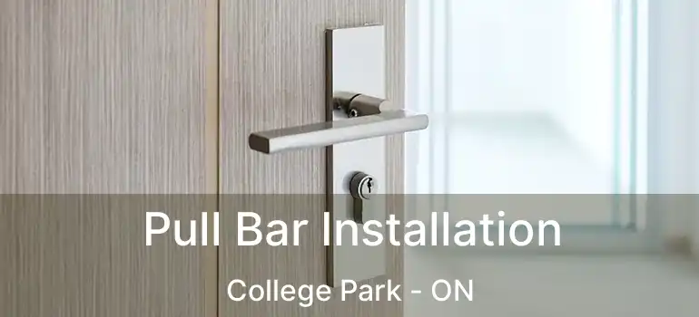  Pull Bar Installation College Park - ON