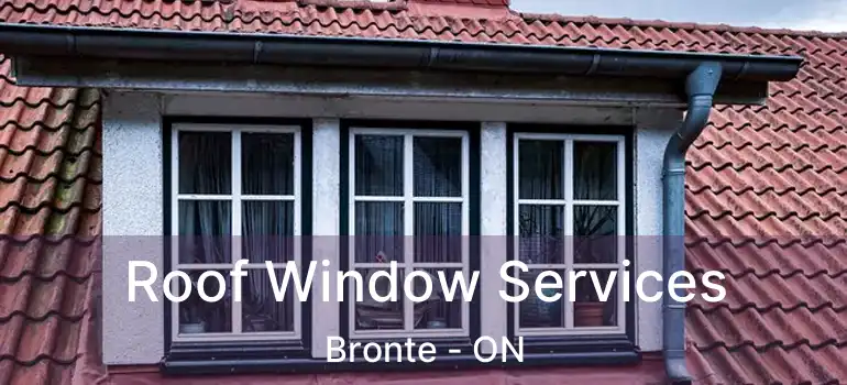  Roof Window Services Bronte - ON