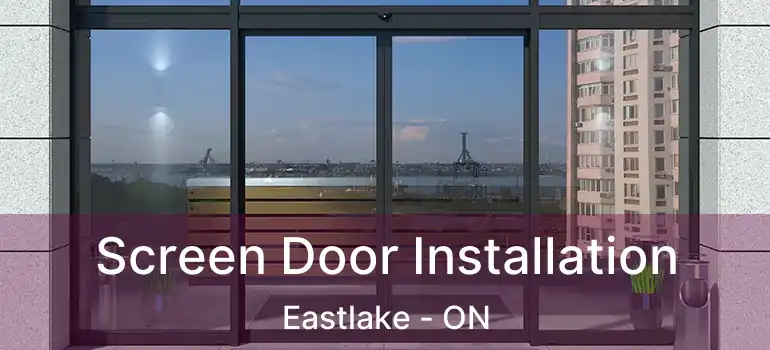  Screen Door Installation Eastlake - ON