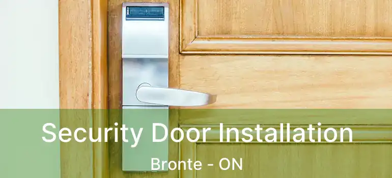  Security Door Installation Bronte - ON