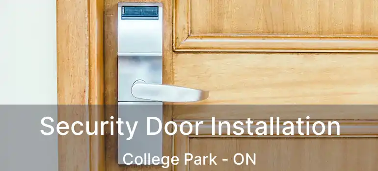 Security Door Installation College Park - ON