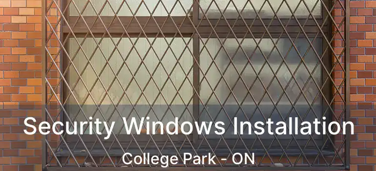  Security Windows Installation College Park - ON