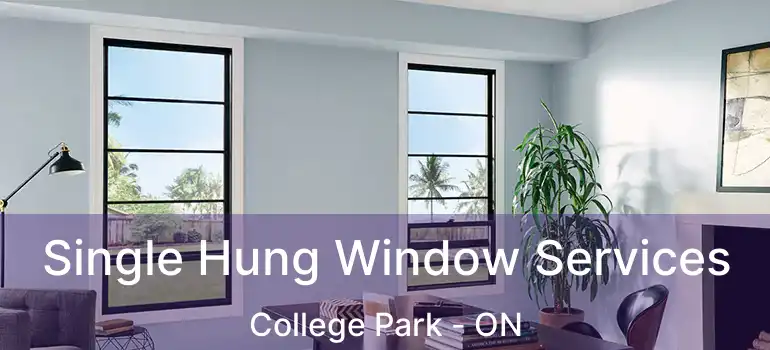  Single Hung Window Services College Park - ON