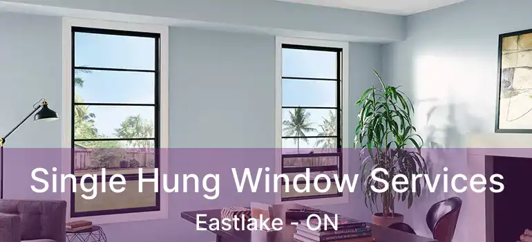  Single Hung Window Services Eastlake - ON