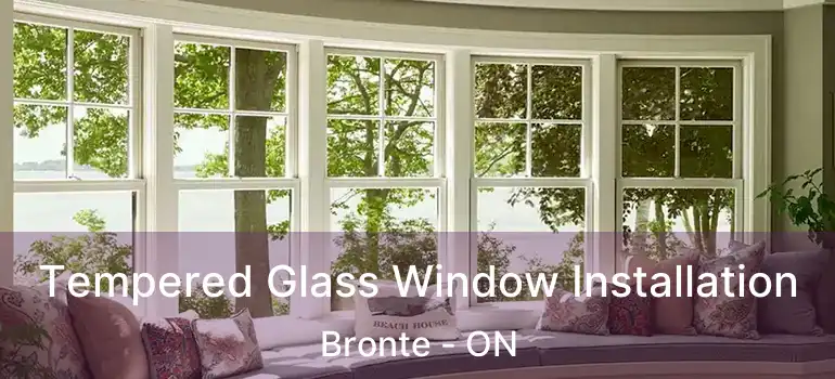  Tempered Glass Window Installation Bronte - ON
