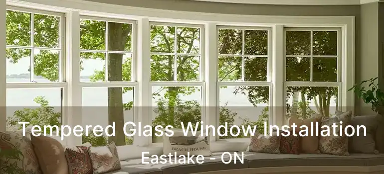  Tempered Glass Window Installation Eastlake - ON