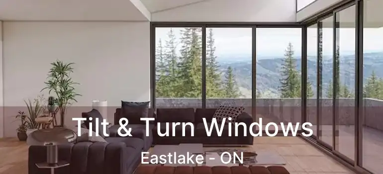  Tilt & Turn Windows Eastlake - ON