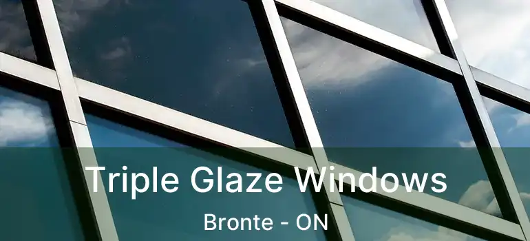  Triple Glaze Windows Bronte - ON