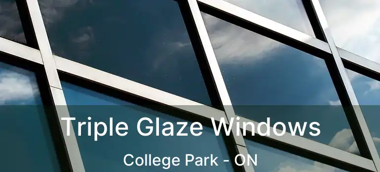  Triple Glaze Windows College Park - ON