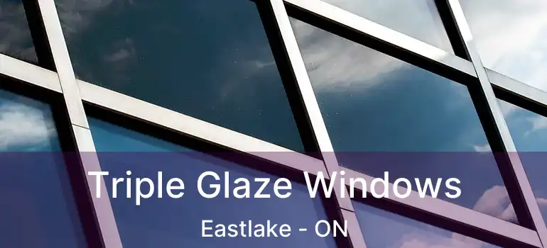  Triple Glaze Windows Eastlake - ON