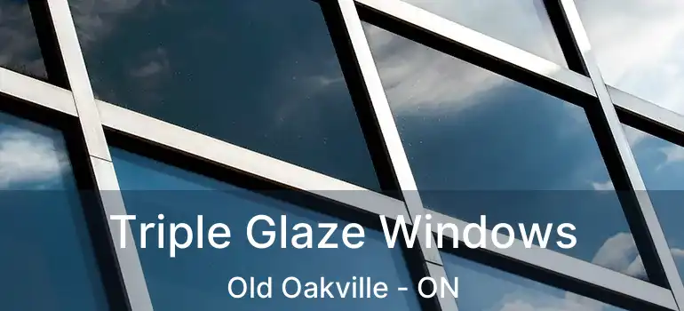  Triple Glaze Windows Old Oakville - ON