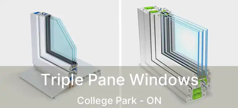  Triple Pane Windows College Park - ON
