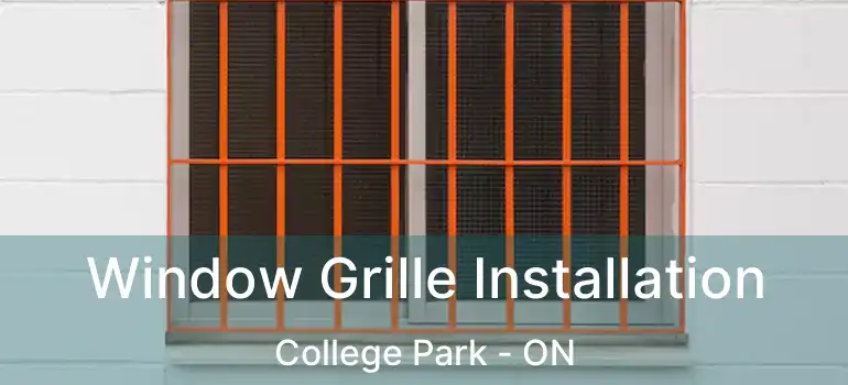 Window Grille Installation College Park - ON