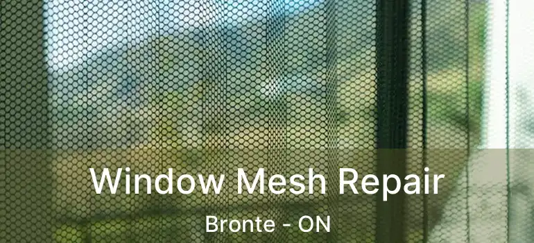  Window Mesh Repair Bronte - ON