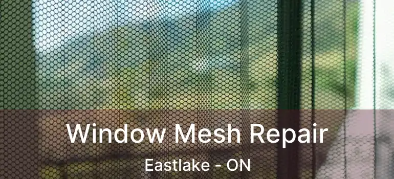  Window Mesh Repair Eastlake - ON
