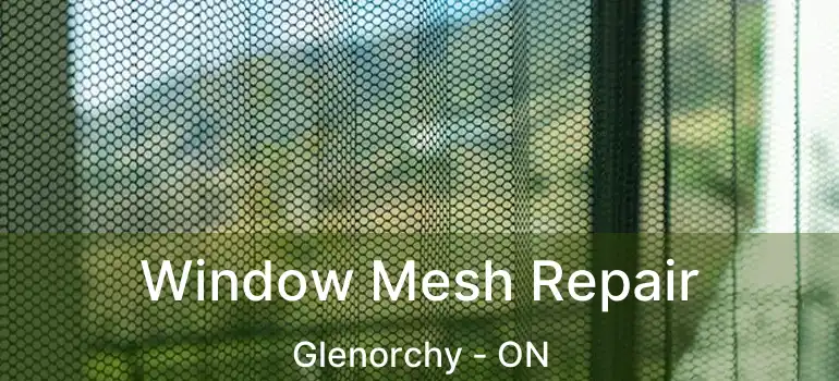  Window Mesh Repair Glenorchy - ON