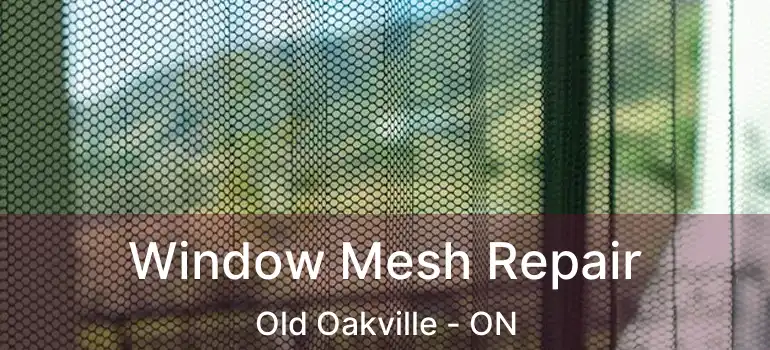  Window Mesh Repair Old Oakville - ON