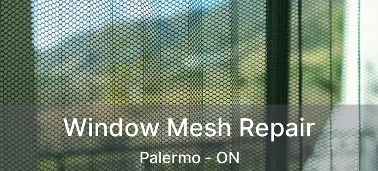  Window Mesh Repair Palermo - ON