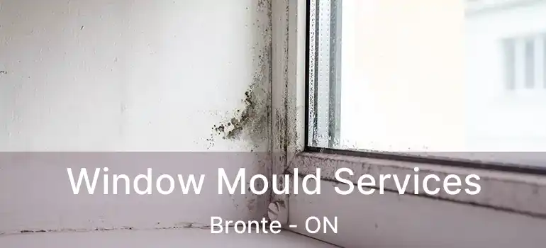  Window Mould Services Bronte - ON
