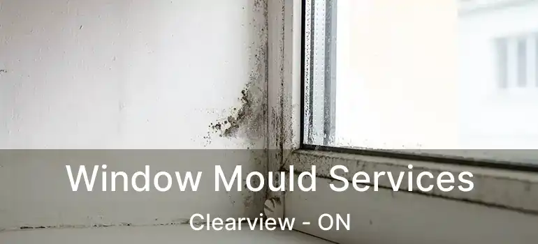  Window Mould Services Clearview - ON