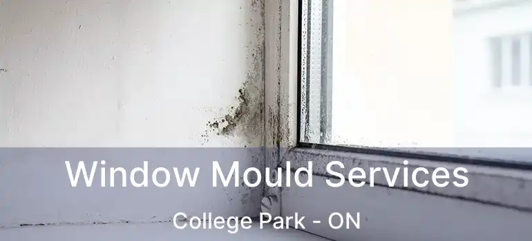  Window Mould Services College Park - ON